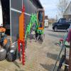 images/knippen-snoeien/knippen/20240302_143117.jpg