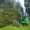 images/knippen-snoeien/knippen/20240710_075801.jpg