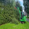 images/knippen-snoeien/knippen/20240710_075809.jpg