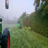 images/knippen-snoeien/knippen/20241105_082227.jpg