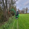 images/knippen-snoeien/knippen/20241114_083908.jpg