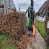 images/knippen-snoeien/knippen/20250326_135000.jpg