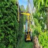images/knippen-snoeien/snoeien/20240504_084001.jpg