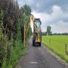 images/knippen-snoeien/snoeien/20240604_140954.jpg