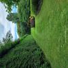 images/knippen-snoeien/snoeien/20240711_132632.jpg