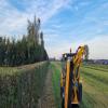 images/knippen-snoeien/snoeien/20241015_174537.jpg